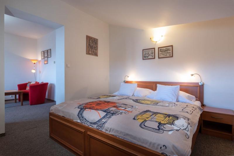 Izba Apartmán Chopok s balkónom v PROAD PLUS s.r.o. – 3